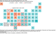 Graphic from . https://fivethirtyeight.com/wp-content/uploads/2023/03/atd-RED-STATE-POSTPARTUM-CARE-0309-1.html
