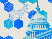 Editorial illustration in blue tones showing a Democratic donkey and the US Capitol dome surrounded by decorative hexagonal pattern shapes.