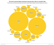 Bubble chart showing the 20 most common Native American-linked high school team mascot names, with bubble size representing frequency; Indians leads with 411 schools.