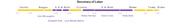 Timeline of U.S. Secretaries of Labor from 1977 to 2021, highlighting female secretaries under each presidential administration.