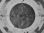 Black and white editorial composite image of a wolf's face overlaid with a shooting target with concentric rings numbered 4 through 9.