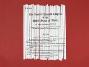 Editorial illustration showing the Affordable Care Act (H.R. 3590) document shredded into vertical strips against a red background.
