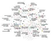 Network graph showing clusters of Twitter topics related to Black Lives Matter, with labeled nodes representing hashtag communities and their percentage shares.