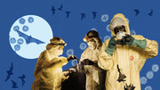 Editorial illustration showing researchers in hazmat suits examining bats against a blue background with virus particles and flying bats, evoking pandemic disease research.