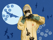 Editorial illustration showing a person in a yellow hazmat suit handling a bat, surrounded by flying bats and coronavirus particle illustrations on a blue background.