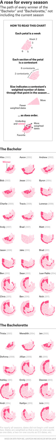 Rose chart infographic showing the path of every Bachelor and Bachelorette winner across all seasons, with each petal representing a week and each section a contestant, sized by weighted dates.