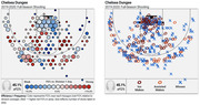 Two basketball shot charts for Chelsea Dungee's 2019-2020 full-season shooting, showing efficiency and frequency via hexagons on the left and individual shot outcomes on the right.