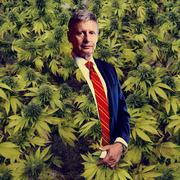 Editorial illustration of a suited man with a red striped tie surrounded by cannabis plants, used as decorative art for a FiveThirtyEight article.