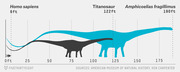 Size comparison of Homo sapiens at 6ft, Titanosaur at 122ft, and Amphicoelias fragillimus at 190ft shown as silhouettes on a scale.