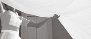 Black and white grainy illustration of a person pulling back a large sheet or curtain to reveal a rising bar chart shape in the background.
