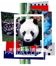 Editorial collage combining photos of giant pandas, Chinese officials, panda caretakers, and document fragments about panda diplomacy and conservation.