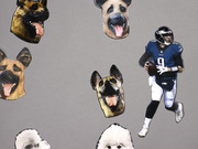 Editorial collage showing Philadelphia Eagles quarterback number 9 surrounded by floating dog heads on a gray background.