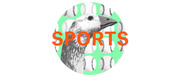 Editorial illustration featuring a goose and baseballs on a green grid background inside a circle, with the word SPORTS in large orange text.