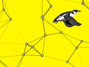 Editorial illustration showing a black-and-white bird in flight over a bright yellow background with a network graph of connected nodes and edges.