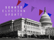 Editorial illustration showing the US Capitol building in black and white against a purple background with red and blue pennant flags and the text Senate Election Update.