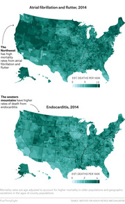 Two US county-level choropleth maps showing estimated deaths per 100K from atrial fibrillation and flutter, and endocarditis in 2014, with annotations highlighting regional patterns.