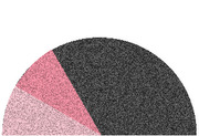 Partial pie chart showing two pink segments and one large dark gray segment, with no visible labels or legend.