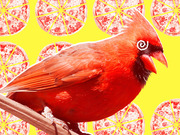 Editorial illustration of a red cardinal bird on a yellow background patterned with red-tinted pizza pie graphics and yellow slice lines.