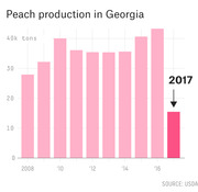 Bar chart showing peach production in Georgia from 2008 to 2017, with 2017 highlighted as a dramatic drop to about 15k tons compared to prior years near 35-45k tons.