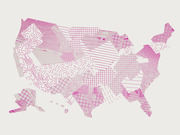 Decorative illustration of the United States map filled with various pink patterned textures including grids, topographic lines, dots, and hatching.