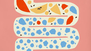 Colorful editorial illustration of a winding intestine shape filled with abstract geometric shapes in blue, orange, red, and yellow on a pink background.