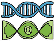 Editorial illustration showing a blue DNA double helix above a green stylized money/currency shape with a human silhouette, representing genetics and money.