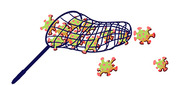 Illustration of a butterfly net catching colorful coronavirus particles, with a few escaping outside the net.