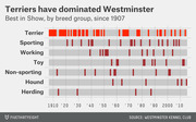 Dot/strip chart showing Westminster Kennel Club Best in Show winners by breed group from 1907 to the 2010s, with Terriers dominating in orange and other groups in dark red.