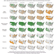 Grid of US state maps showing 2000 support or opposition to school vouchers by demographic group and income bracket, colored orange for above-average support and green for below-average support.