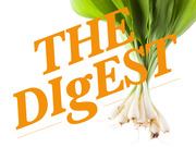 Editorial illustration for The Digest newsletter featuring orange bold text reading THE DIgEST overlaid on a bunch of green onions against a white background.