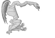 The original Gerrymander illustration showing a salamander-shaped electoral district map of Essex County Massachusetts with town names labeled.
