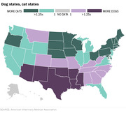 US map showing whether each state has more cats or more dogs, with dark green for cat-heavy states and dark purple for dog-heavy states.