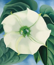 Close-up painting of a large white jimsonweed flower with green leaves against a blue sky, in the style of Georgia O'Keeffe.