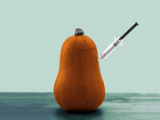 Editorial illustration of a butternut squash with a medical syringe inserted into it, set against a mint green background, suggesting GMO or food modification themes.