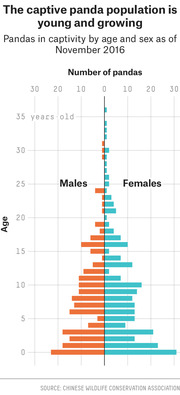 Population pyramid chart showing captive pandas by age and sex as of November 2016, with males on the left in orange and females on the right in teal.