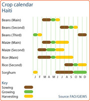 Crop calendar for Haiti showing sowing, growing, and harvesting periods for beans, maize, rice, and sorghum across months January through December.