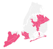Map of New York City showing districts highlighted in pink across Staten Island, Queens, Brooklyn, and parts of the Bronx, with other areas in gray.