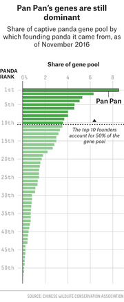 Horizontal bar chart showing share of captive panda gene pool by founding panda rank as of November 2016, with Pan Pan ranked 1st and top 10 founders accounting for 50% of the gene pool.