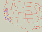 US map with California highlighted by red and blue arrow icons scattered across the state, likely representing some directional or partisan data comparison.