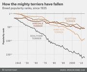 Line chart showing the declining breed popularity ranks of four terrier breeds (Scottish, Airedale, Wire Fox, and Sealyham) from 1935 to the 2010s according to the American Kennel Club.