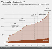 Area chart showing total AKC-recognized dog breeds from 1880 to 2016, with terriers highlighted as a subset declining from 19% to 16.4% of all breeds.