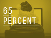 Yellow-tinted editorial infographic showing a dog sitting at a computer with large text reading 65 PERCENT.