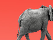 A grayscale elephant walking away against a bright red background, used as editorial illustration likely symbolizing the Republican Party.