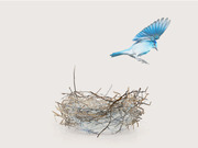 Editorial illustration of a blue bird flying away from an empty nest on a plain background, symbolizing departure or empty nest syndrome.