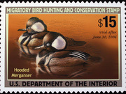 A $15 U.S. Migratory Bird Hunting and Conservation Stamp featuring illustrated Hooded Mergansers, void after June 30, 2006.