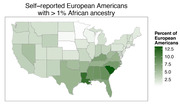 Choropleth map of the US showing the percentage of self-reported European Americans with more than 1% African ancestry by state, with Southern states darkest.