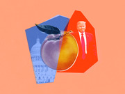 Editorial collage illustration featuring a peach, the US Capitol building in blue, and a red-tinted figure of Donald Trump, referencing impeachment.