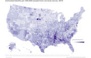 Choropleth map of the United States showing estimated cervical cancer deaths per 100,000 people by county in 2014, with darker purple indicating higher mortality rates concentrated in the South.
