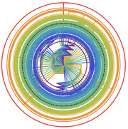 Circular radial data visualization with concentric colored rings and radiating lines in a spiral pattern, using a rainbow color scheme from red to blue.