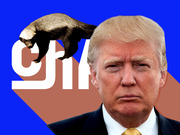 Editorial collage showing Donald Trump's face against a blue background with a honey badger and partial large white text letters.